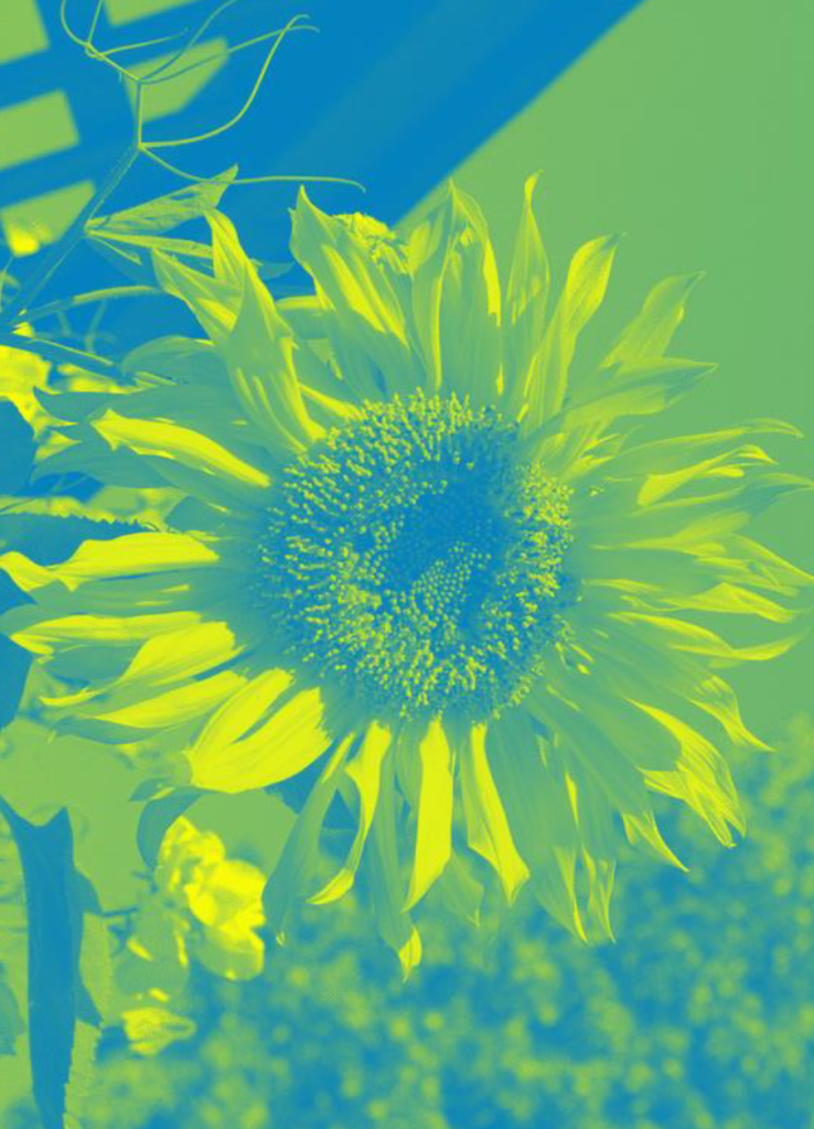 Fax test number = 1300 368 909 - Health IT